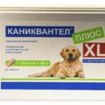 Каниквантел плюс XL, 1 таблетка