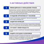 ЛимфоТранзит 30 капсул — изображение 2
