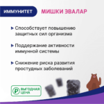 Бэби Формула Мишки Иммунитет 30 пастилок — изображение 2