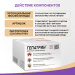 Гепатрин 60 капсул — изображение 2