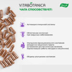 ВитаБотаника Чаги экстракт 90 капсул — изображение 3
