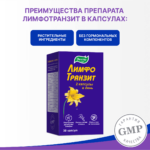 ЛимфоТранзит 30 капсул — изображение 3