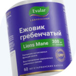 Ежовик гребенчатый 300 мг/Lion’s mane 300 mg 60 капсул — изображение 2