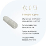 L-цистеин 500 мг/ L-Cysteine 500 mg 60 капсул — изображение 4