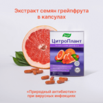 Цитроплант 30 капсул — изображение 4
