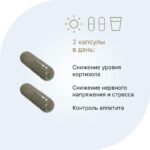 Кортизол контроль/ Cortisol control 60 капсул — изображение 5
