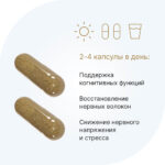 Ежовик гребенчатый 300 мг/Lion’s mane 300 mg 60 капсул — изображение 7