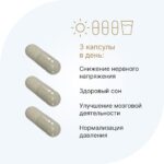ГАБА 500 мг/ GABA 500 mg 60 капсул — изображение 5